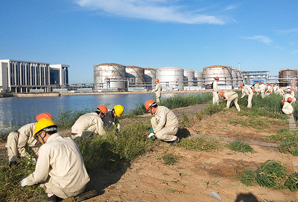 1603335514103719.jpg IMG_20200909_164658.jpg